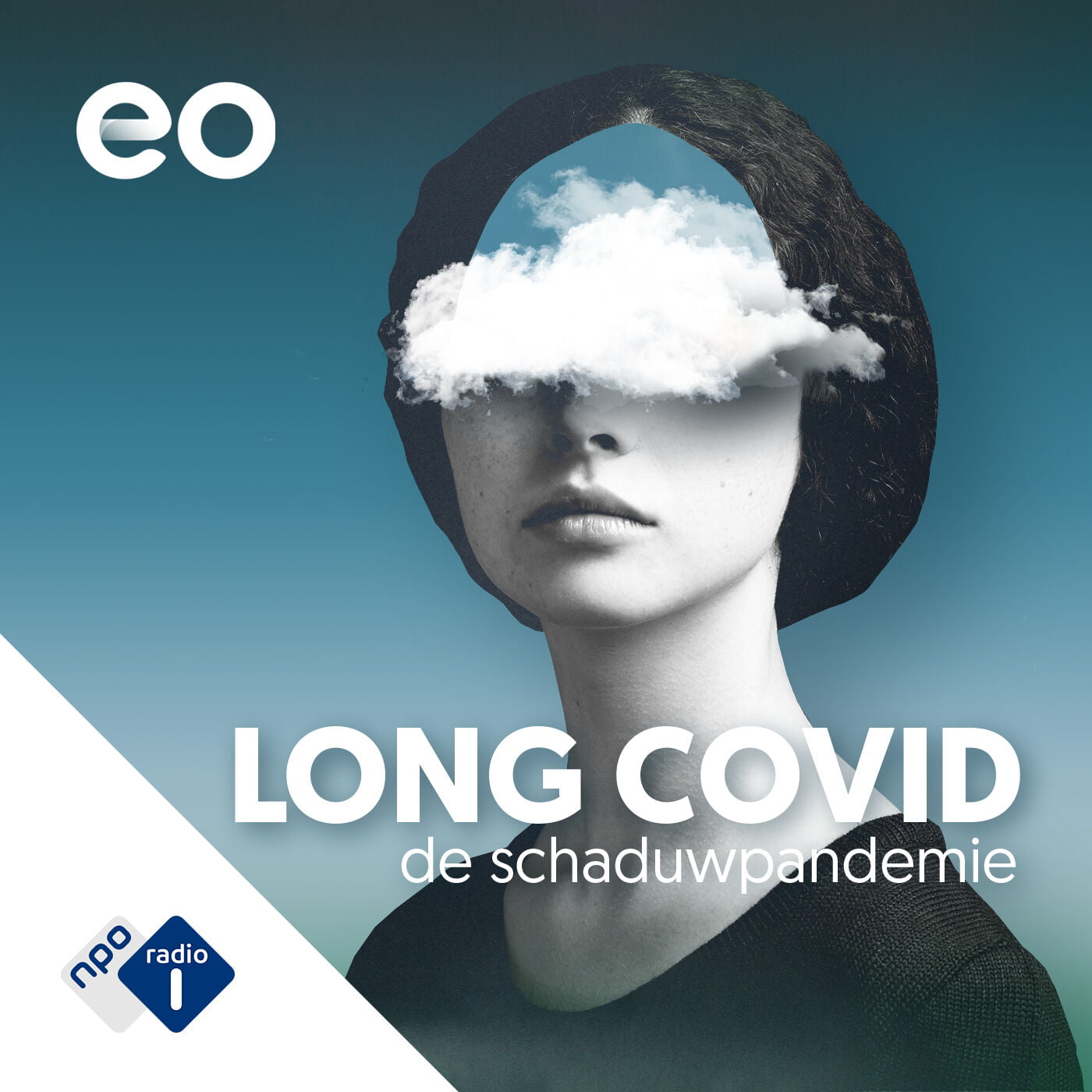 Long Covid popup