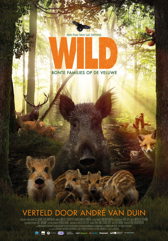 wild, bonte familie op de veluwe